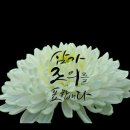 익산희망요양병원 이미지