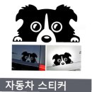 프리티도그 이미지