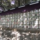 이안에막걸리있다 이미지