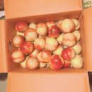 오부자청과 이미지