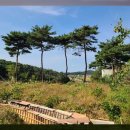 무창포공인중개사사무소 이미지