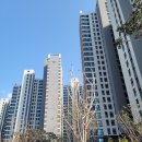 이노원 | 동대문구 용두동 e편한세상 청계센트롤포레 아파트 - 거실 차르르 쉬폰 속지커튼과 트르플쉐이드 설치 후기