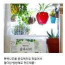 세움라이프
