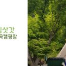 올챙이캠핑장 이미지