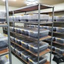 농업회사법인 주식회사 치유의 숲 이미지