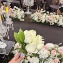 장미화분 모양 석고방향제 | 셀프 부케말리기 :| 부케순이 | 캔들 | 레진와인잔 | 신랑신부석고방향제