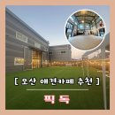 픽독 이미지