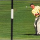 시너지골프 이미지