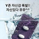 와이존