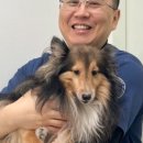 차동물병원 이미지