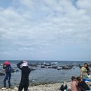 송대민박 | 경주 감포 꼭 가볼 곳 스노쿨링 명소 송대말 등대, 빛체험 전시관 후기