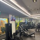 본앤머슬 이미지