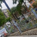 행운동-13 이미지