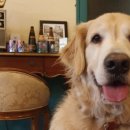 자양다방 이미지