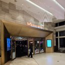 145 | 미드나잇 145 잠실 와인뷔페 후기 – 서울 야경이 진짜 다 했다