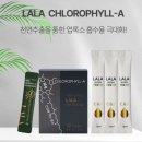 라라코리아인터내셔날(주) | 라라코리아 어떤 회사일까요?