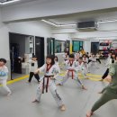 선행태권도 이미지