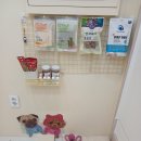 깔끔하개 | 🐾 의정부애견미용실 깔끔하개 방문 후기 🛁✨