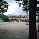 태화초교병설유치원 이미지