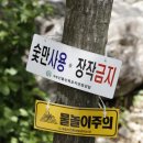 국립신불산자연휴양림 이미지