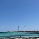 제주에선 쪼끌락 이미지