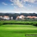 청룡골프 이미지