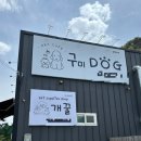 도그스타 | 구미 금전동 애견카페 추천 | 구미도그 내돈내산 솔직후기