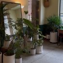 사랑마실 | [전주]인스타 감성 가득한 사랑스러운 플레이팅 케이크 카페 “가비 마실” (+방문 후기)