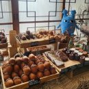 매일가든 이미지