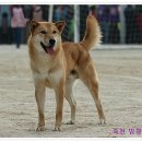 바우 - 강릉시 | 바우