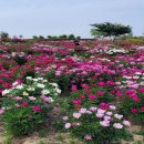 삼성현역사문화공원 이미지