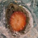 선두하우스 | 테디뵈르 하우스 메뉴추천/ 가격/ 크루아상맛집/ 솔직후기/ 한정선 찹쌀떡 후기