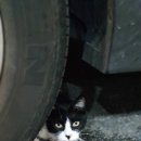 곱창22번지 이미지