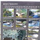 용암정화장실 이미지