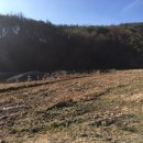 아영면 아곡마을 이미지