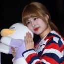 루 카카오 검색결과