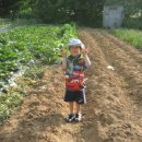 준용농장 이미지