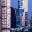 사들마켓 이데일리