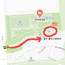 제3체육공원 | 인천 벚꽃명소 '신석체육공원' ㅣ주차꿀팁 명당 피크닉