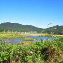 산내음 이미지
