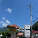 표충사 | 밀양 표충사 현지인 맛집 표충사가는길에서 내돈내산 후기