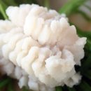 외동마을회관 이미지