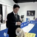 퍼피리트(PUPPY LIT) 이미지