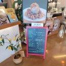 수협바다카페