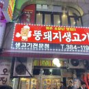 뚱돼지생고기 | [평촌역 뚱돼지생고기] 범계/평촌 삼겹살,통항정살이 맛있는 평촌역 맛집 뚱돼지 생고기 (내돈내산)