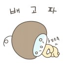 코브라독스 - 평택시 동서촌로 64 | 코브라독스