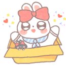 뒹굴뒹굴고양이
