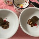 (주)씽크라이크펫 이미지