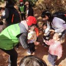 국립산림과학원
산림바이오소재연구소 이미지