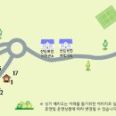 보현산자연휴양림 산 이미지